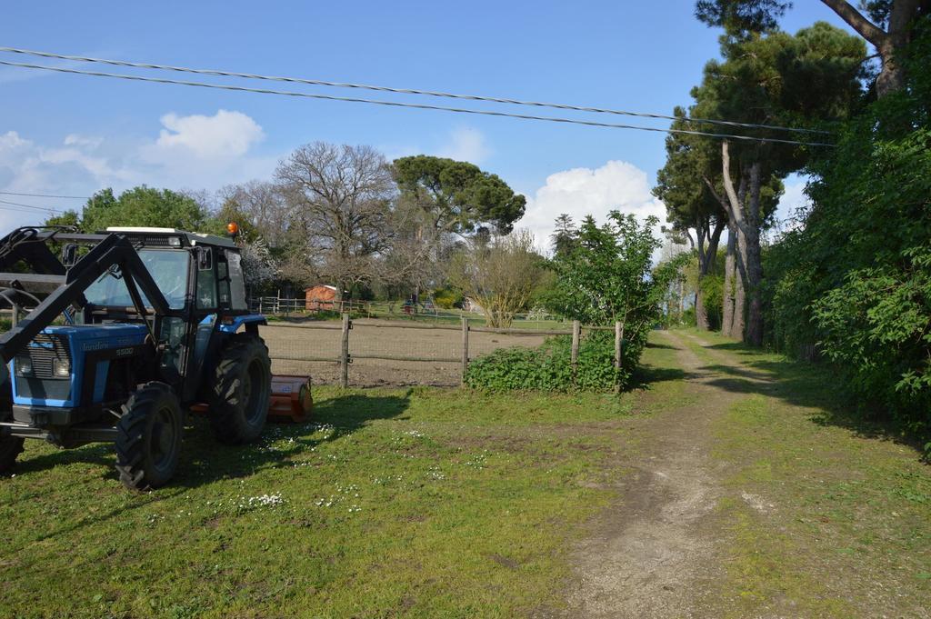Agriturismo Tenuta Buon Respiro Orvieto Ngoại thất bức ảnh